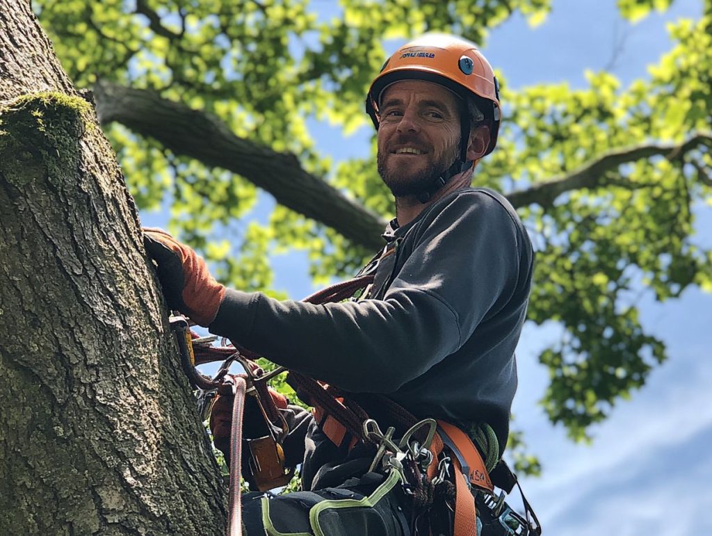 Tree Surgeon Stockport

