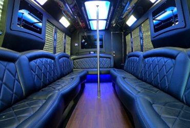 Traditional Limousine